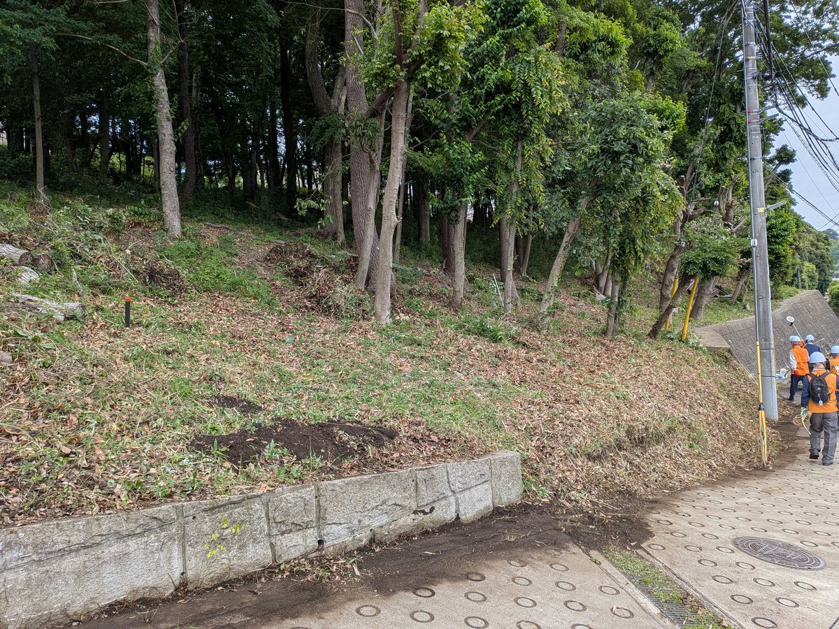 MihoForest's tweet photo. 5/23(土)の作業では、西側の保存緑地内の草刈りも行ないました。 https://t.co/H3VQP202Cd