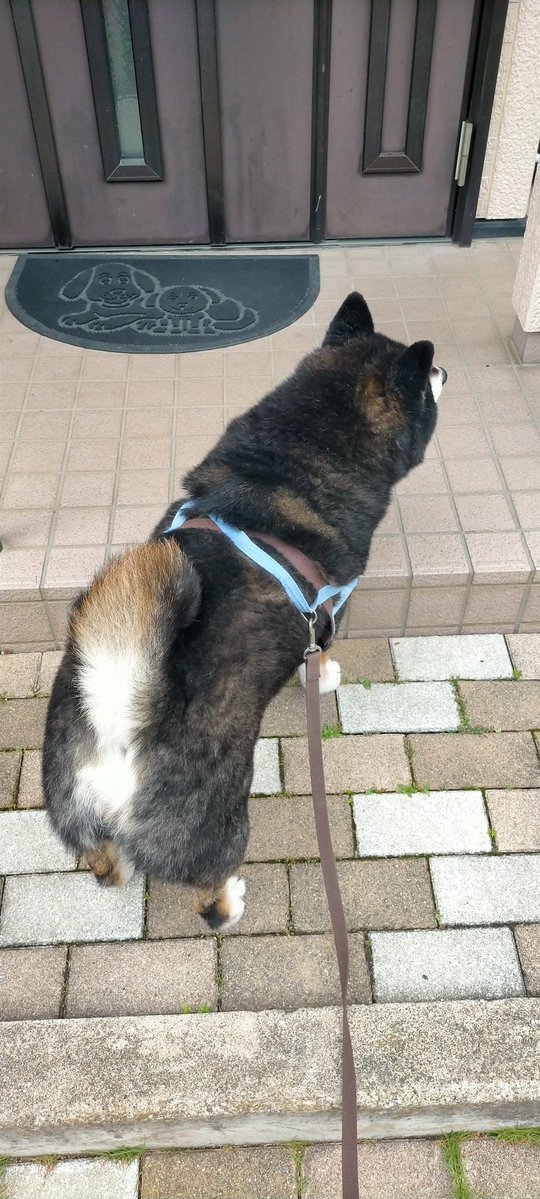 遅くなっちゃってナナちゃんのおかあさんお仕事いっちゃった
