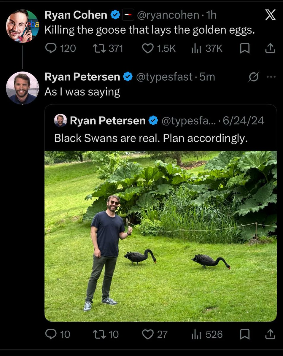 hookedonhopium tweet media