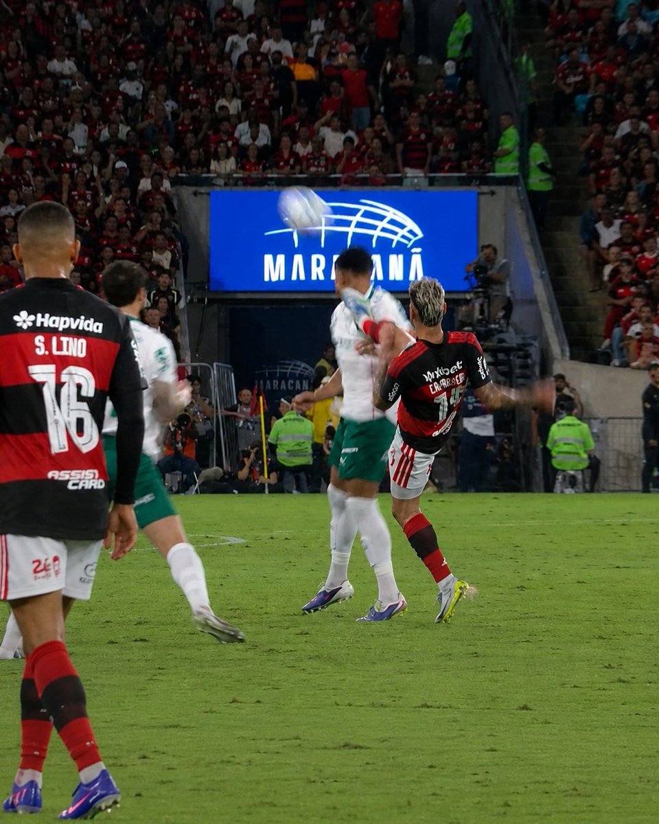Marcos Eduardo tweet media