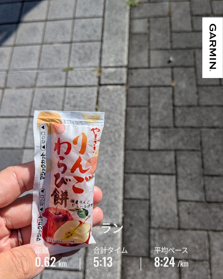 チアノーゼはサブ3を目指す。次走未定 tweet media
