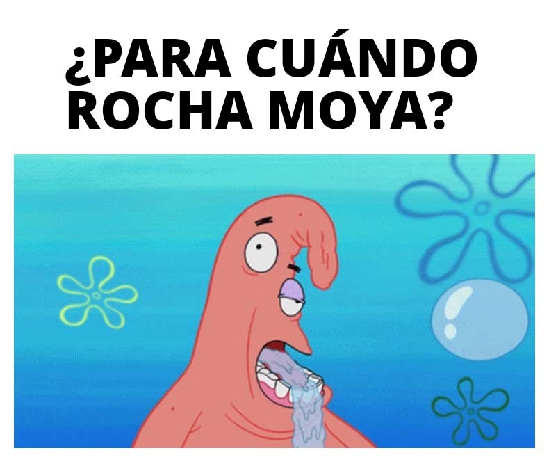 ZuritaCarpio tweet media