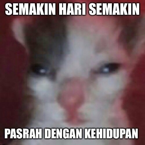 taqibalqibul's tweet photo. https://t.co/plZiaUZtTd