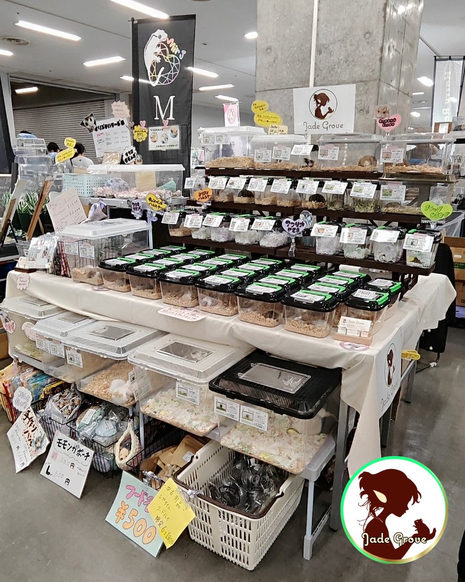 Jade Grove 小動物館【ジェイドグローブ】 tweet media