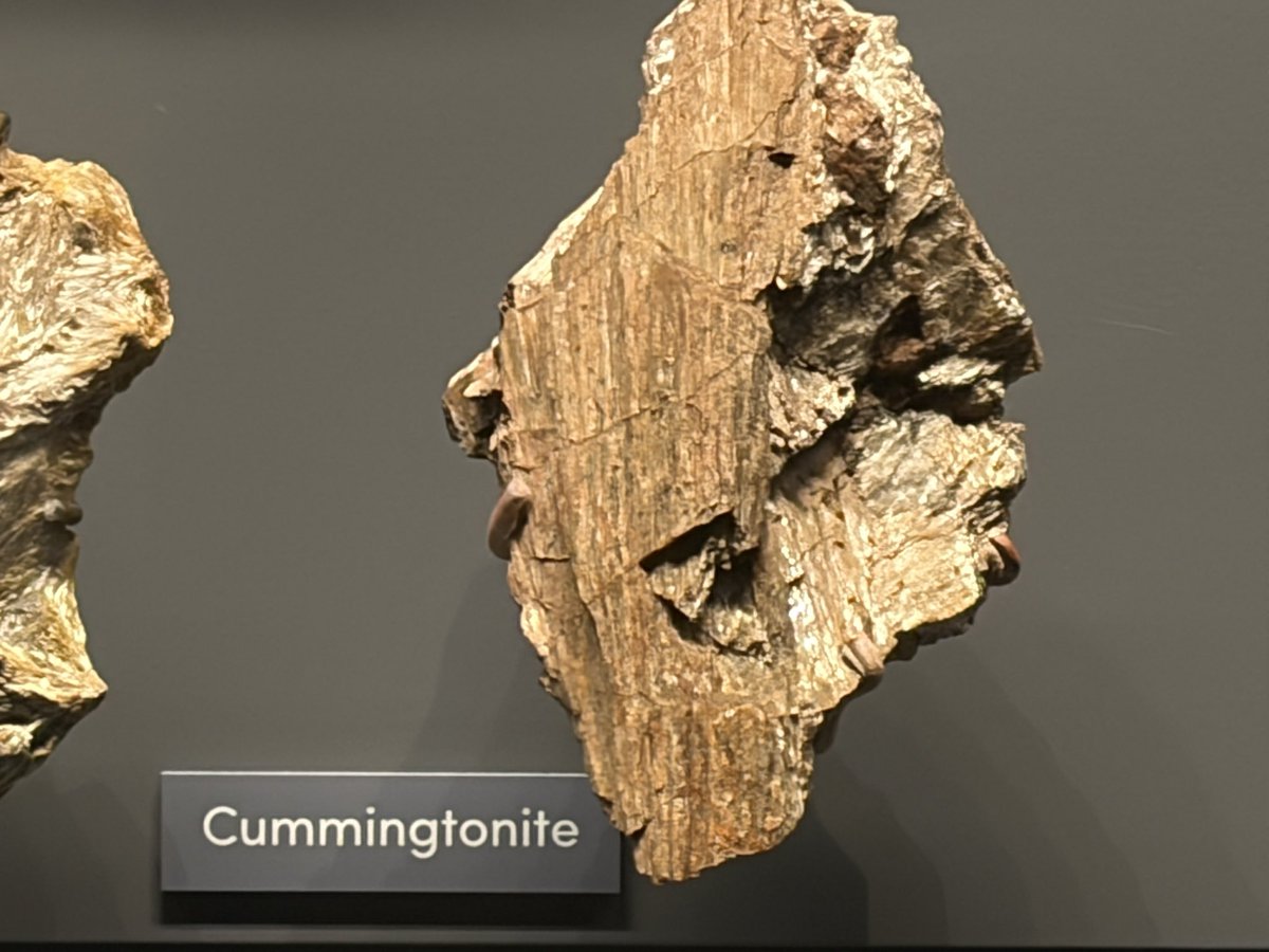 3_beebo's tweet photo. Natural History Museum got me feeling some type of way https://t.co/JAbEZVVmSO