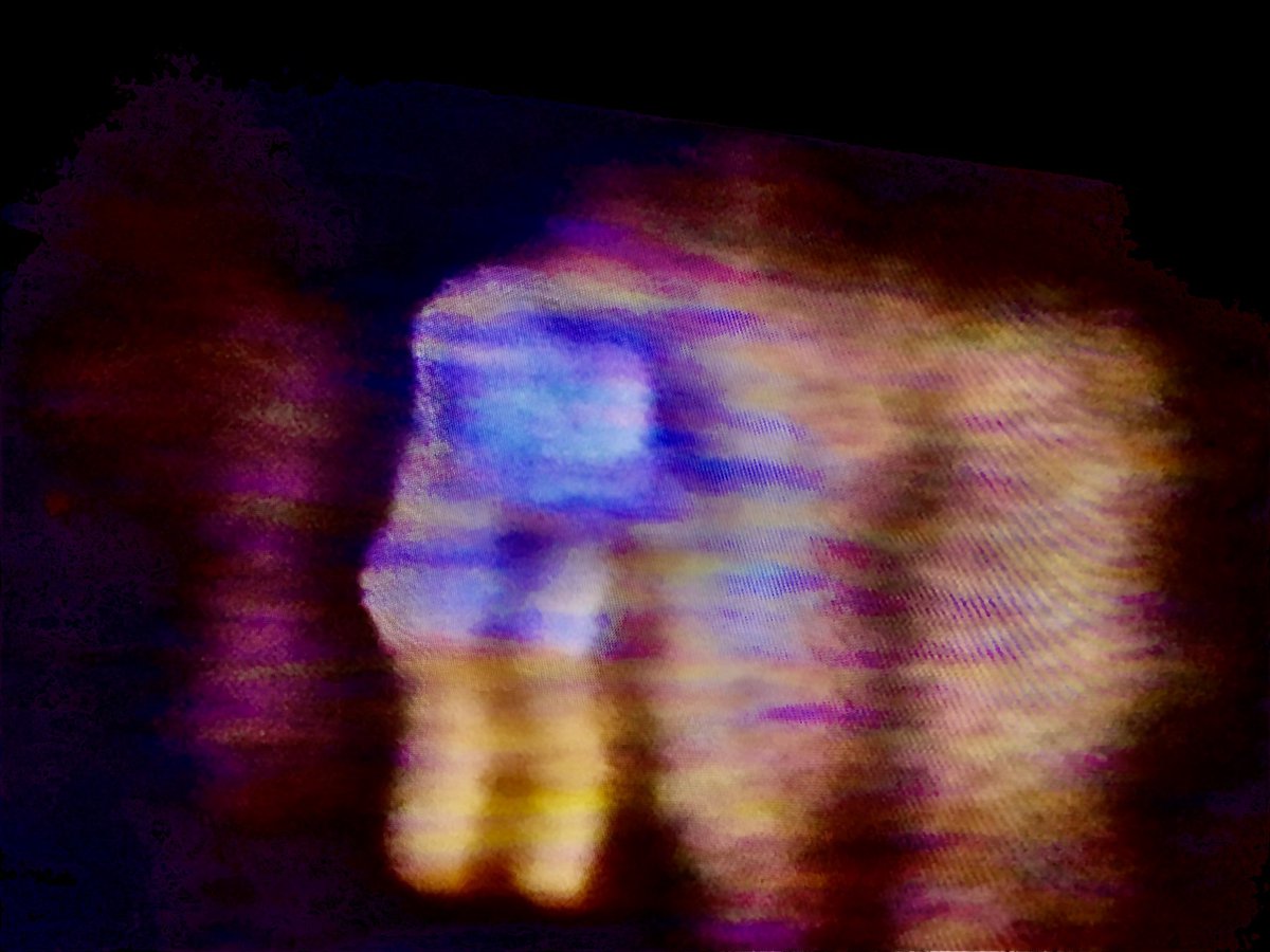 Dorothy Izatt Project tweet media
