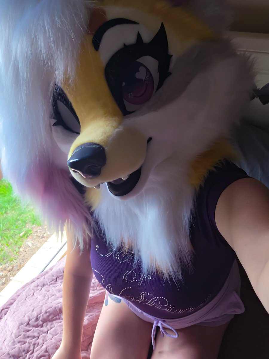 Rain / Violet 🦈 - Next: Aurawra 2026 tweet media