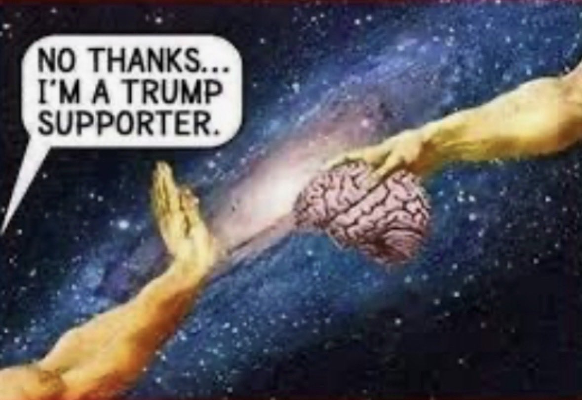 lauratlay's tweet photo. @swampkww1 @OG_Wick0 It’s gotta hurt to be that stupid. https://t.co/0zlnMB10i6