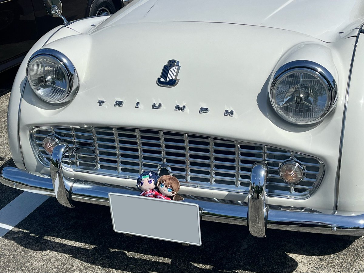 まっちゃさん専用 Post by 抹茶🇮🇹🇩🇪🇬🇧 on X: かわいいねぇ