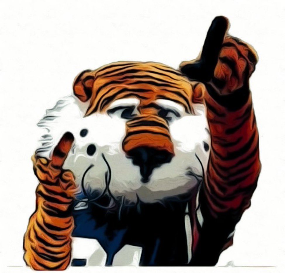 wiggibr's tweet photo. @BMob72 @AuburnBaseball https://t.co/VmR2LNwVSq