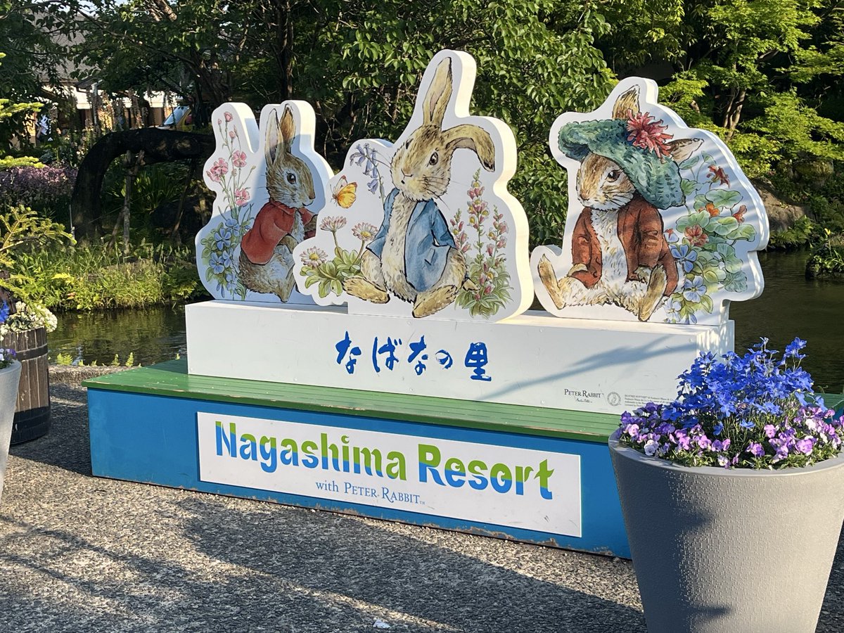 Adojiro's tweet photo. 皆さんおはよう。
実は先日再び #なばなの里  に行ってきました、
今回はイルミネーション目当てで。 https://t.co/MPL4hneUrY