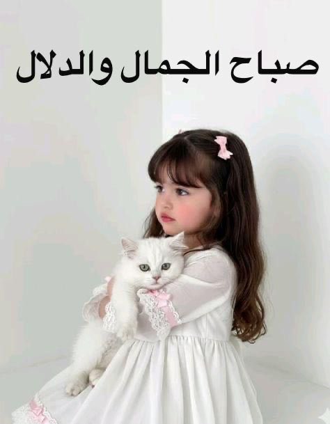 نجمة سدير tweet media