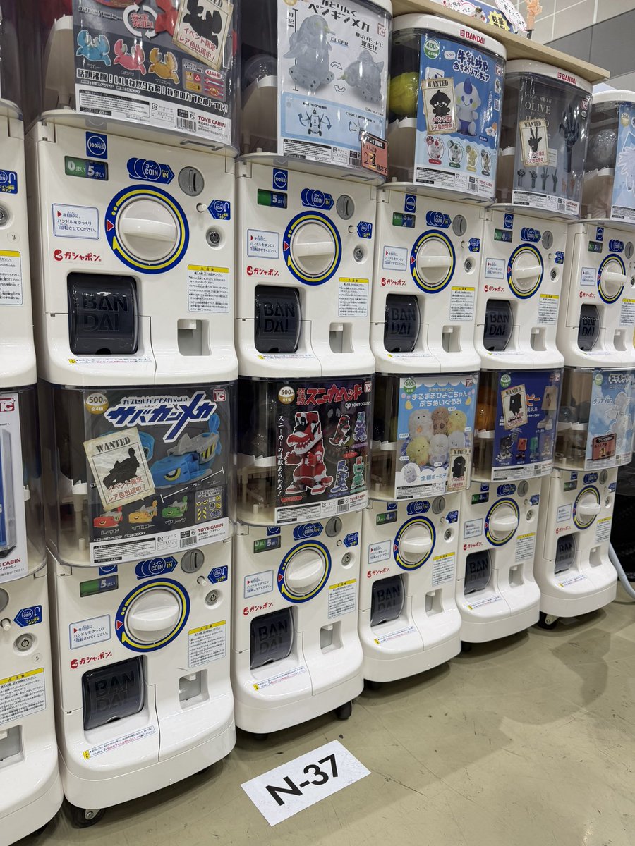 TOKYOGUNSイワセタクミ tweet media