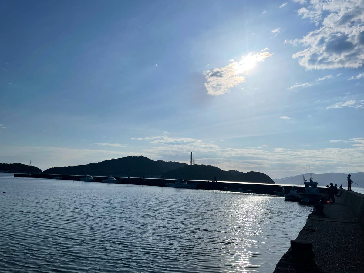 oval_squid_'s tweet photo. おはようございます☀️ https://t.co/6y1mijU1eG