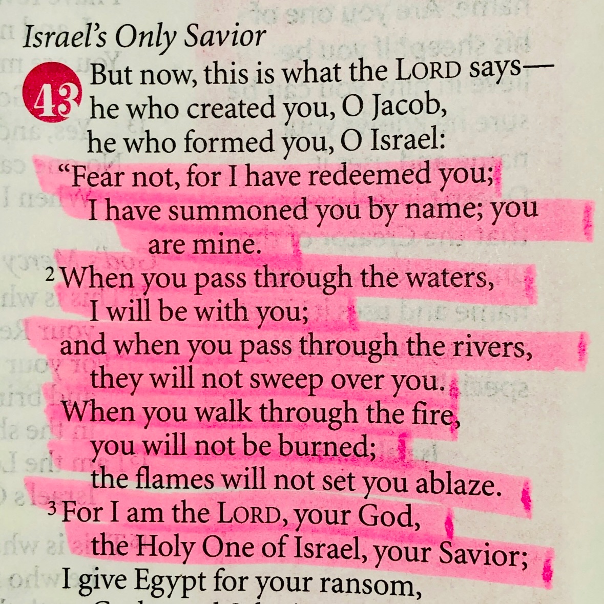 Luv_Riah's tweet photo. Happy Sunday 🙏🤍 https://t.co/419gdzEI7K