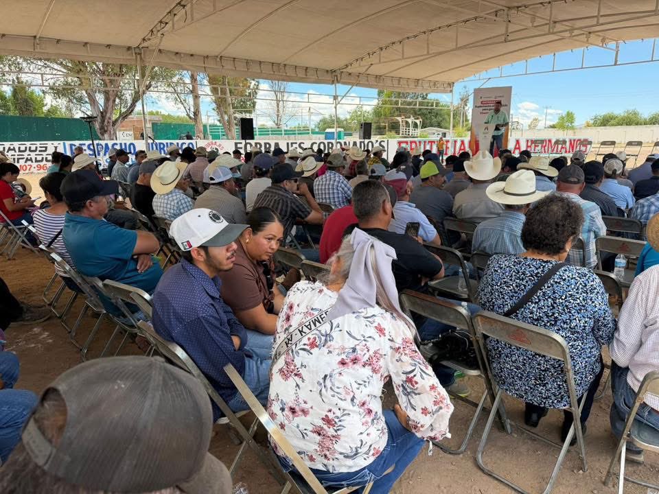 CNCDurango's tweet photo. Continuando con las buenas noticas por parte de nuestro Gobernador @EVillegasV, se entregó suplemento alimenticio para ganado en Vicente Guerrero. 🤠🐂🐄🌾

Ahí,nuestro Dirigente @tonomorales_7 Toño Morales tuvo la oportunidad de saludar al presidente Municipal César Salas. https://t.co/WwnLbVrvI9