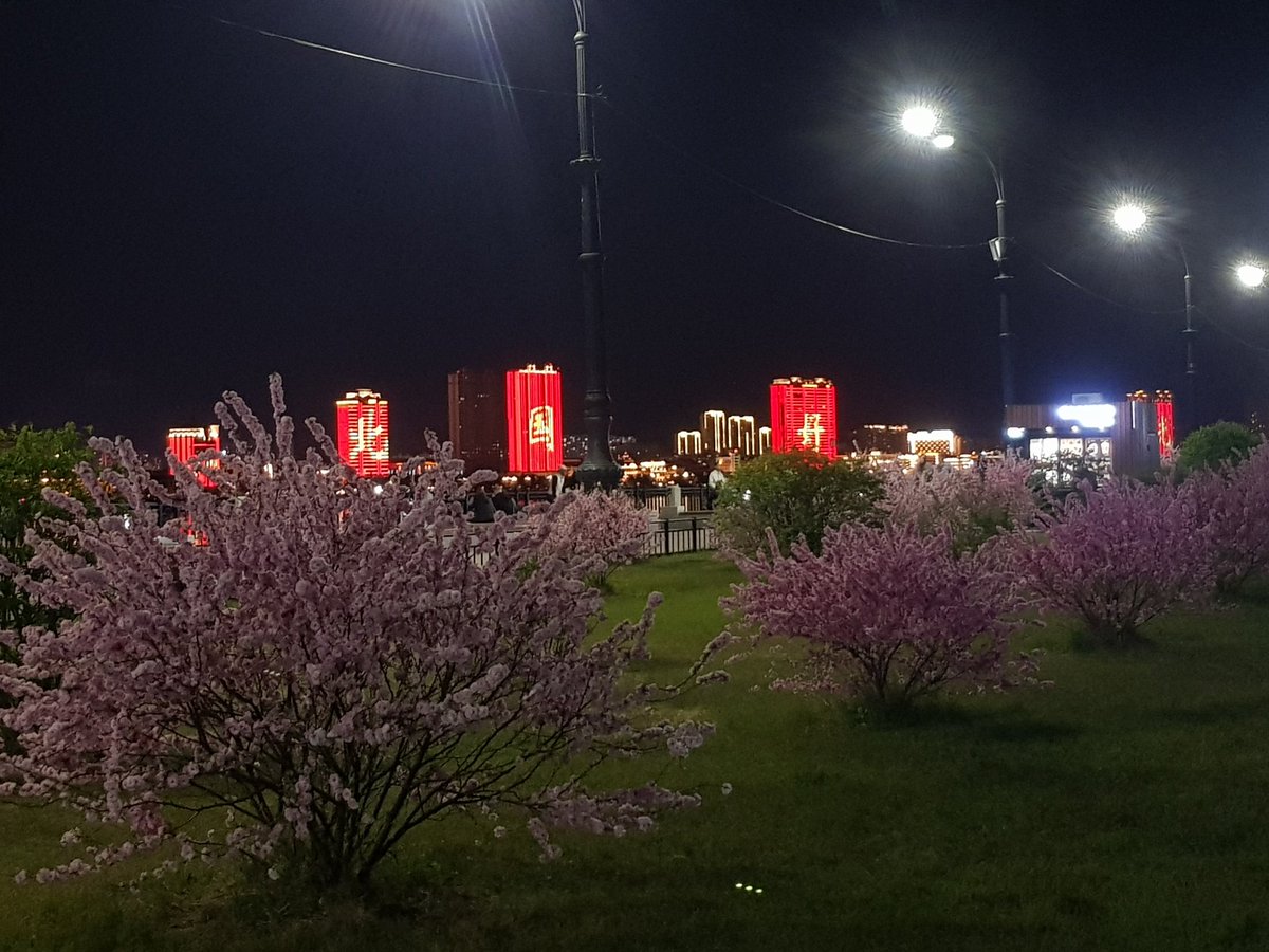 sh1mnr's tweet photo. @ss_zmeyuka Вот такая красота у нас цвела перед сиренью https://t.co/U6ejeH7kEj