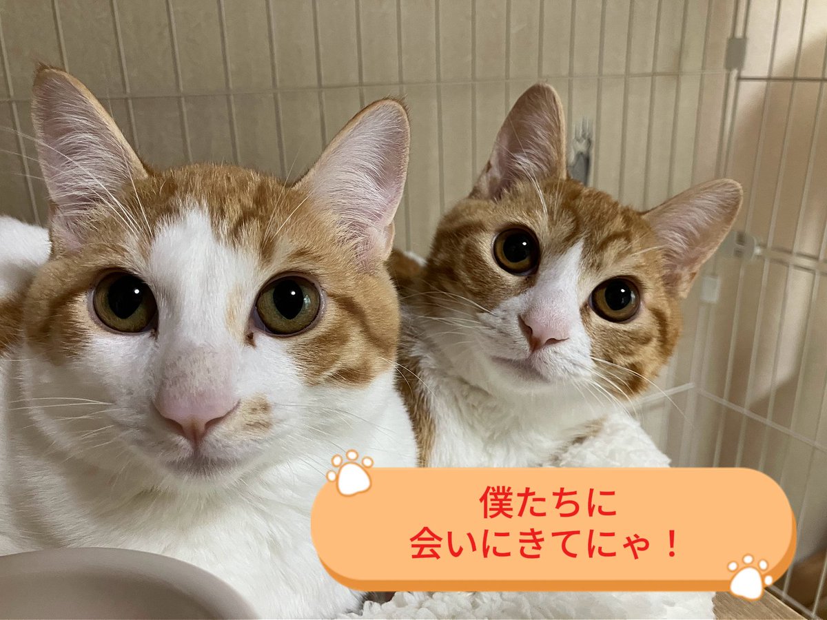 😺おはようございます😺本日5月24日は12時から営業します。 今日から