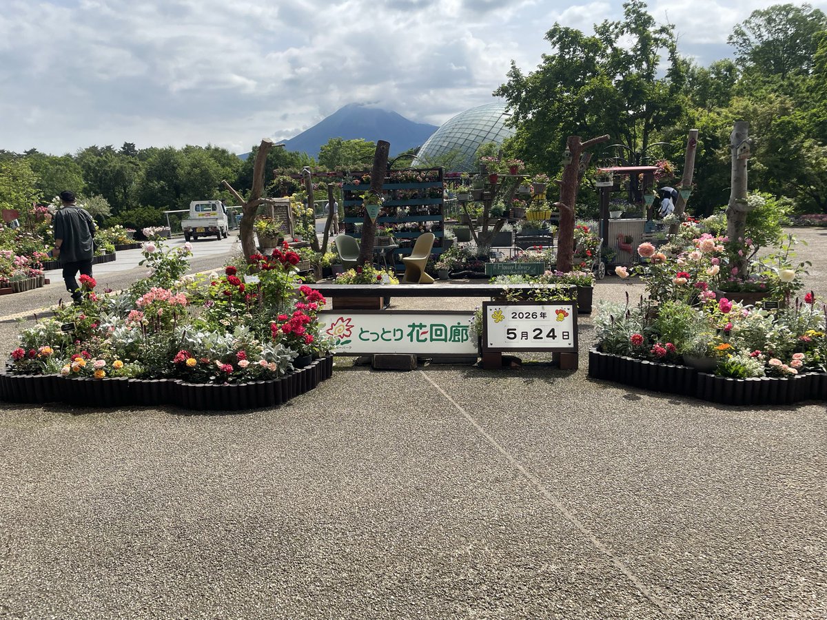 okn_pp's tweet photo. 早々と到着！💐
ちょっと観光？見学！

晴れたー！☀️
#スタレビ 
#とっとり花回廊 
#星屑冒険王野外編 https://t.co/3h26Nx6sqb