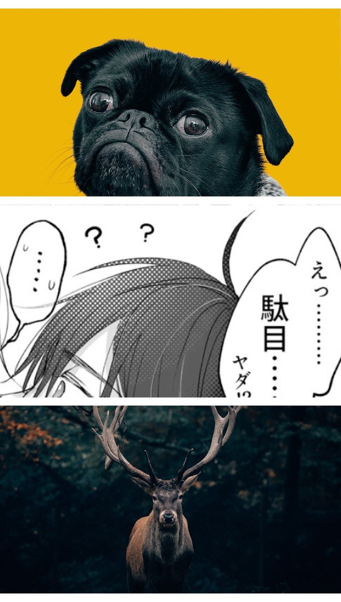 DexterJ50976368's tweet photo. 1/9   SFW https://t.co/eRlU8Ub8eH