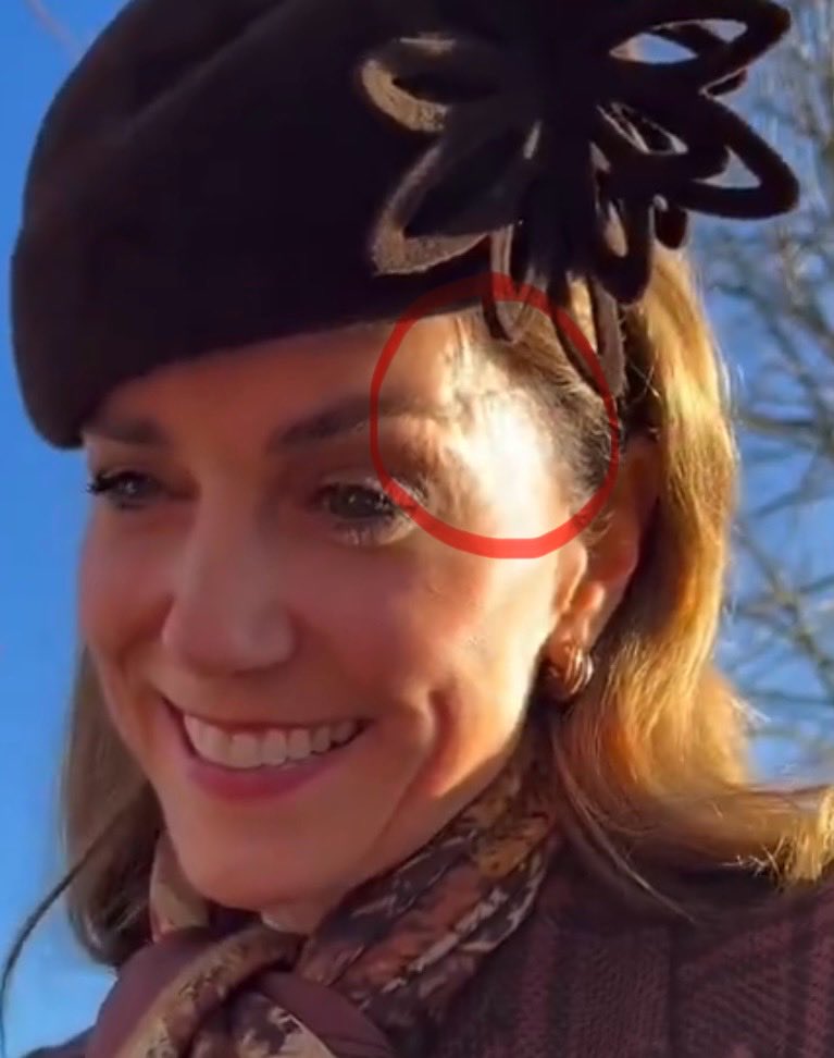 Sussexteamliedetector tweet media