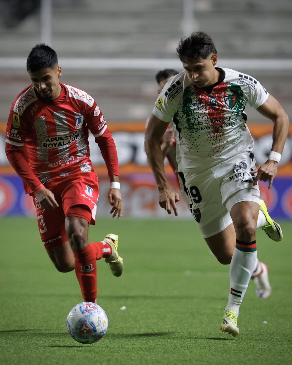 Club Deportivo Palestino tweet media