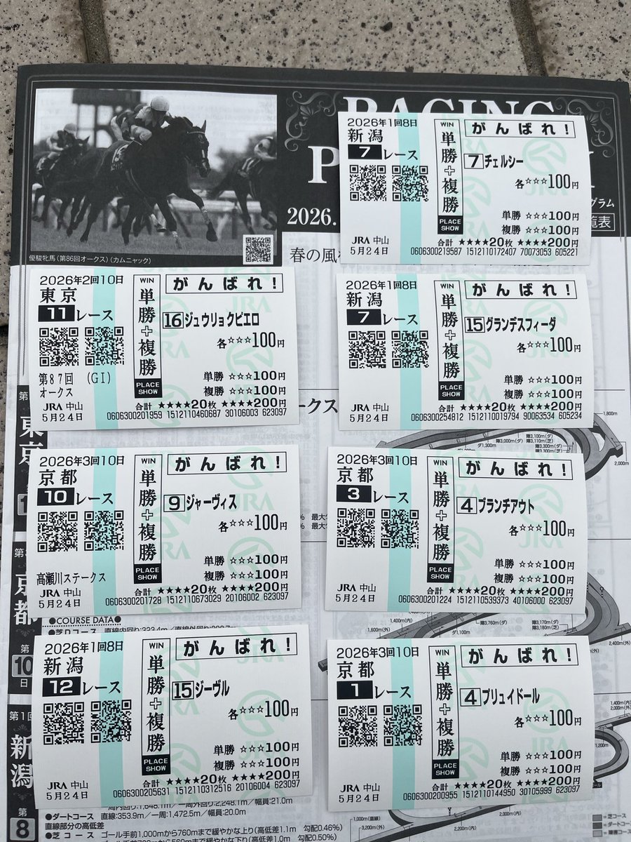 愛馬が6頭大量出走 中山競馬場に応援馬券を買いに来ました 今村聖奈が
