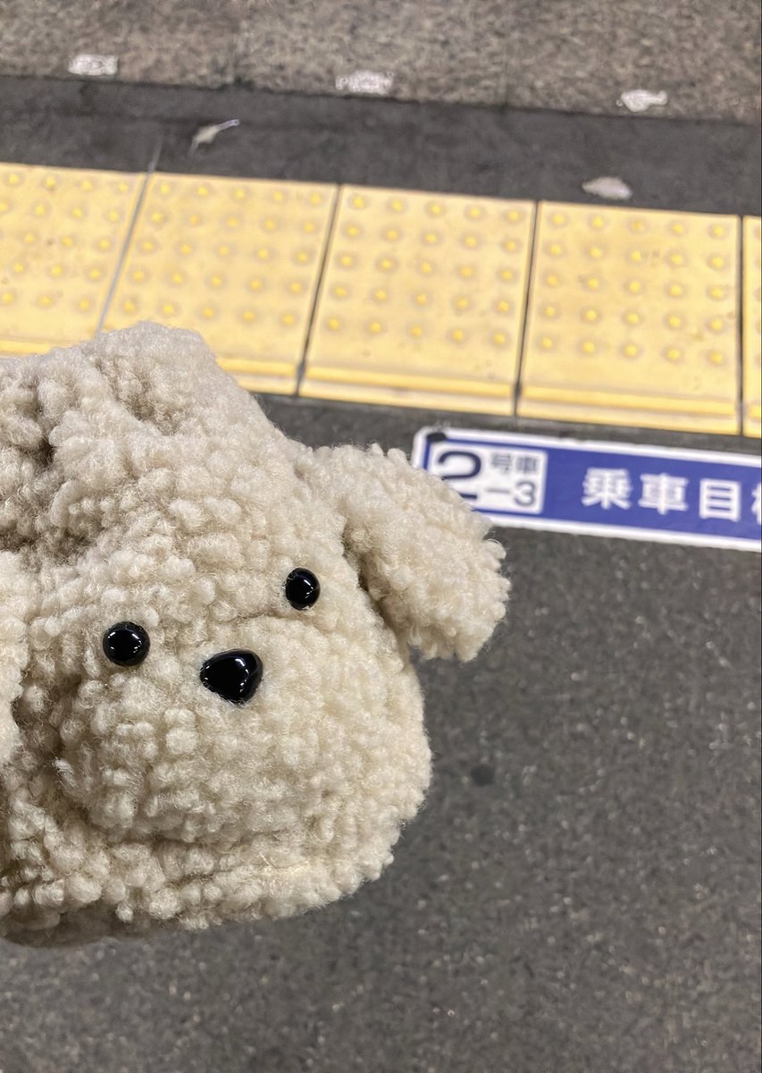ほっぺもちもち♩ tweet media