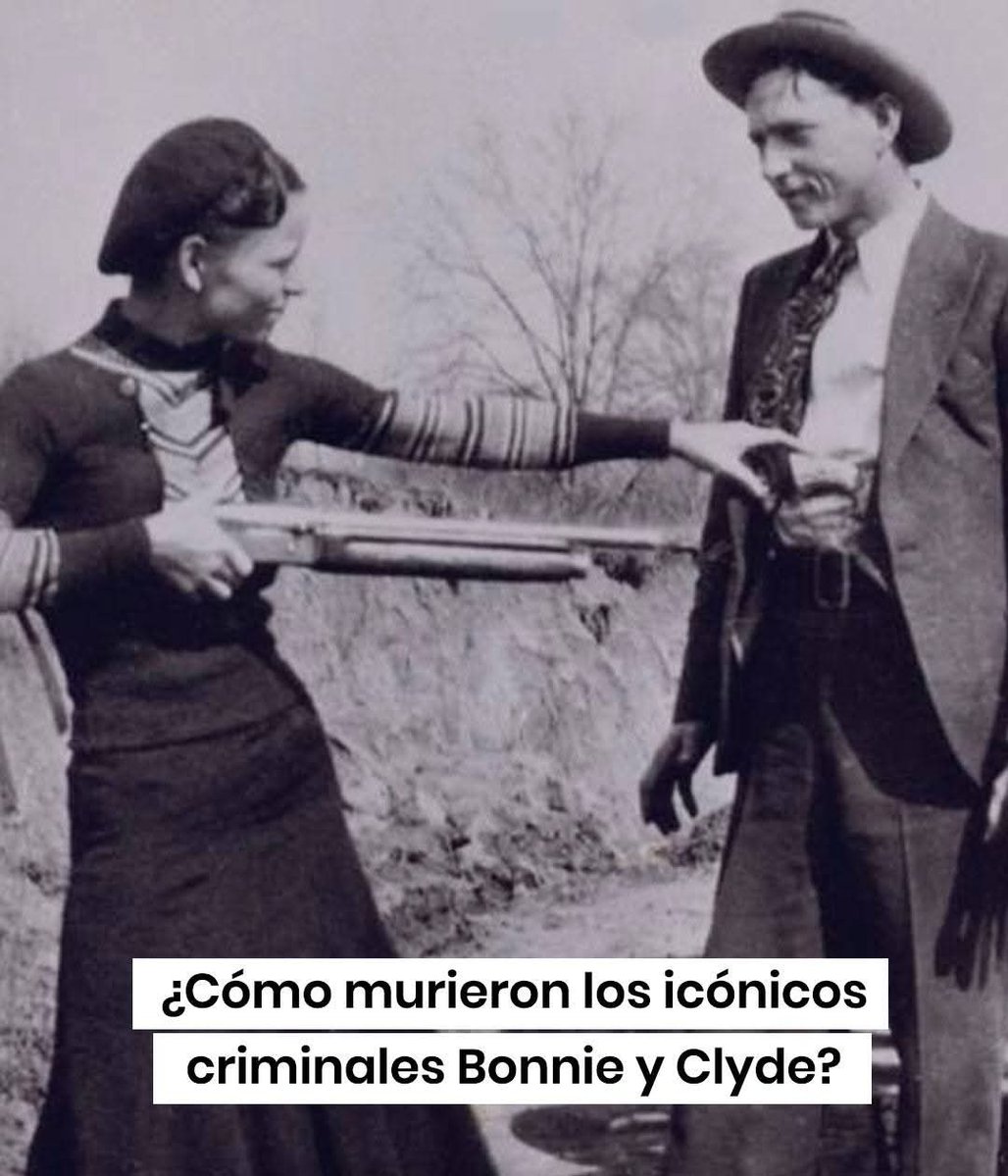 HistoriaWeirdLATAM (Omar 🈂️) tweet media