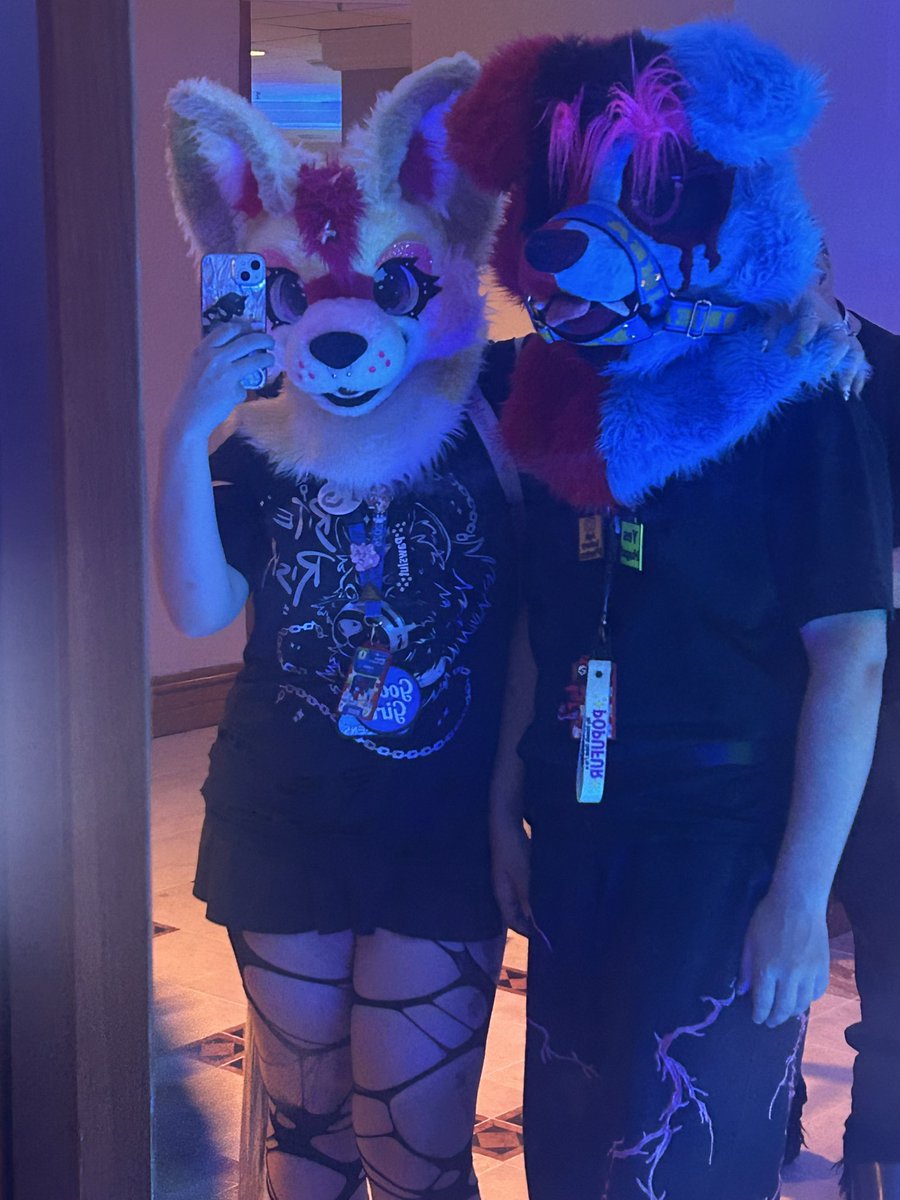 Cosmic 🔜 CFZ26 🐾 tweet media