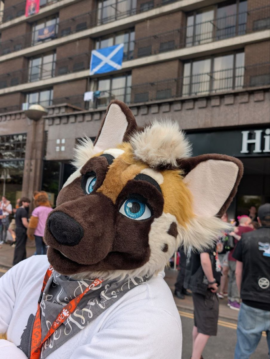 Biscoff Macchiato @Confuzzled tweet media