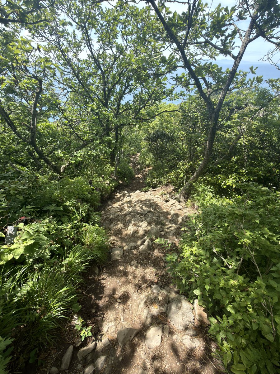 TaroMano1's tweet photo. ソール薄めの靴で岩山ハイキング
•強制足ツボマッサージ
•有酸素運動
•リフレッシュ
でめちゃくちゃ整う。

平日の脳と心の疲労は
週末の身体の疲労で取り除く
リーマンビルダーの基本である。 https://t.co/yr9C9cRvMm