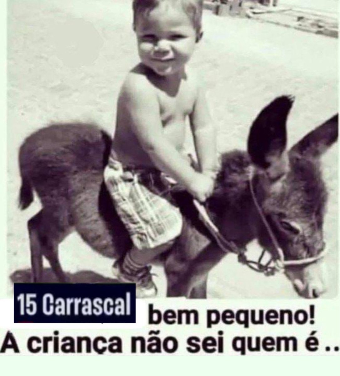 SAMENGO tweet media