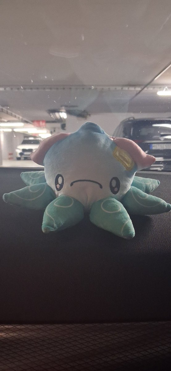 NobuSouji's tweet photo. Today I went with friends and this little adorable thing to the Japantag in Düsseldorf.
It was a lot of fun!
#Reefling #Japantag https://t.co/IVMEgMpIRk