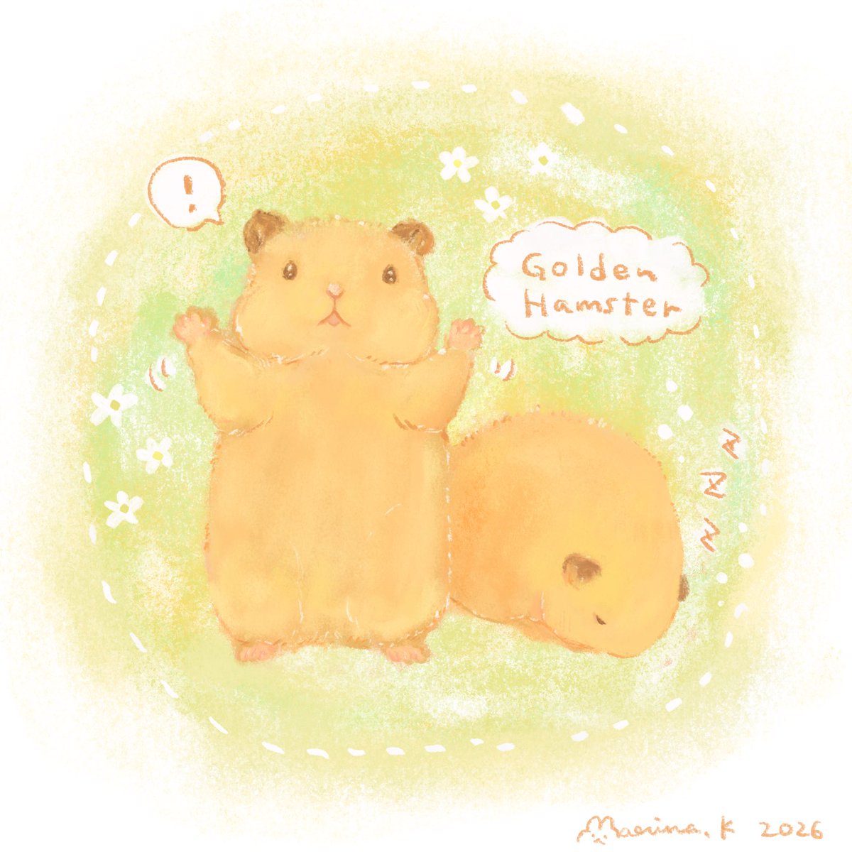 pe05b's tweet photo. 遊びたいハム🐹
眠ってるハム🐹

#illustration https://t.co/a45fi8vwr9