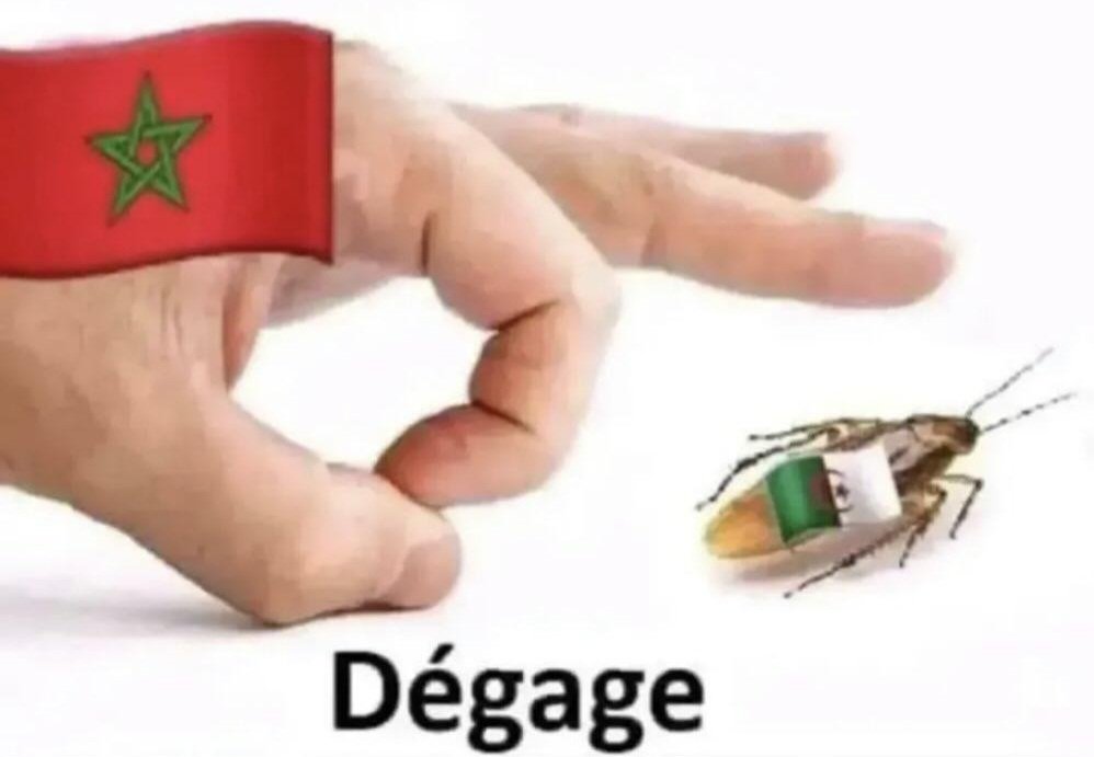 hakmin lkrwa w la zone tweet media