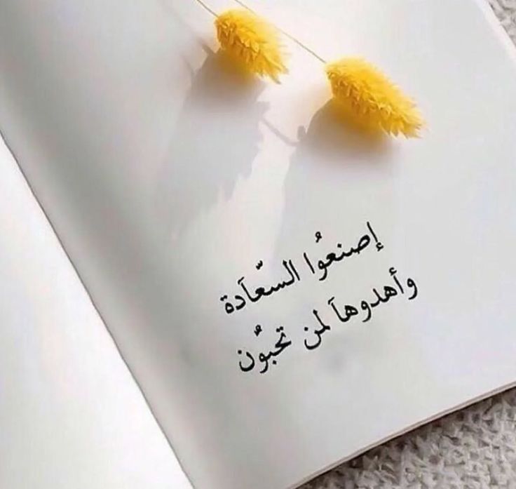 fatmayarouf's tweet photo. https://t.co/hMpBE99FHa