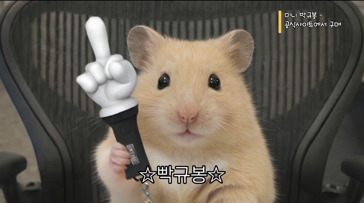 우리가구십이 tweet media