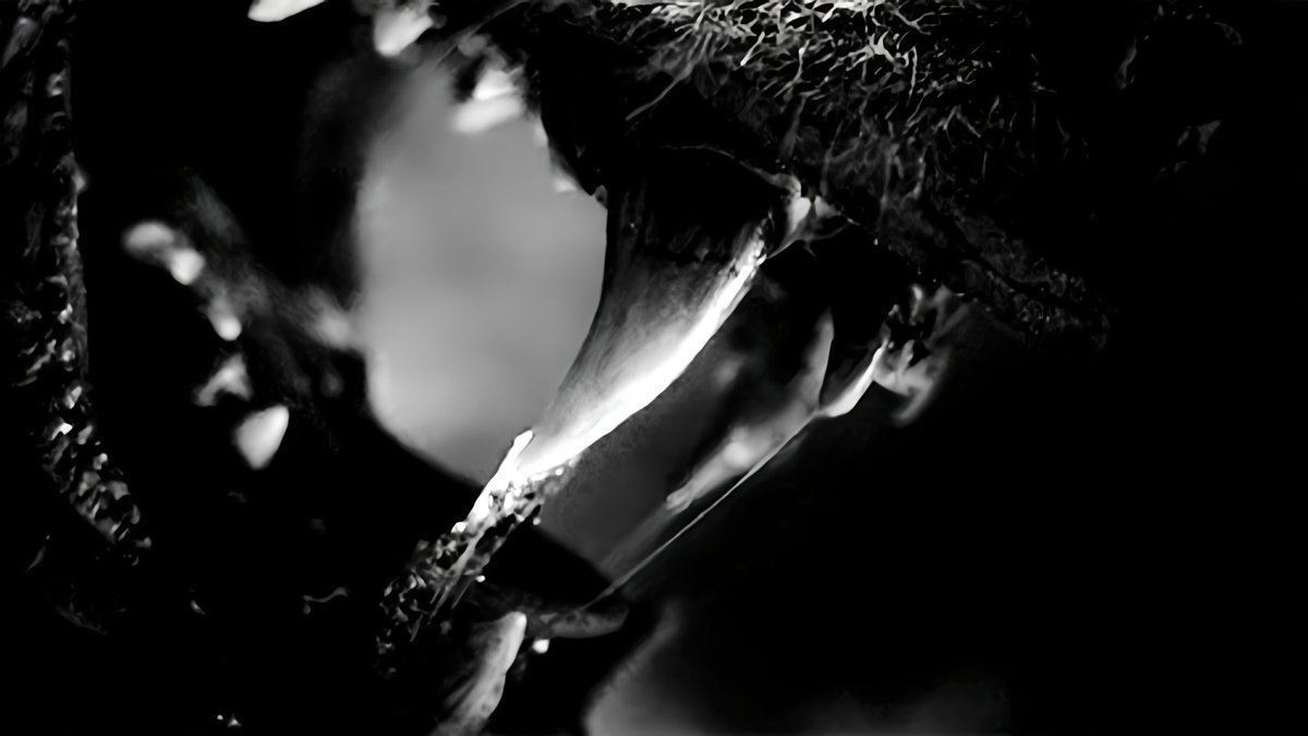 † tweet media
