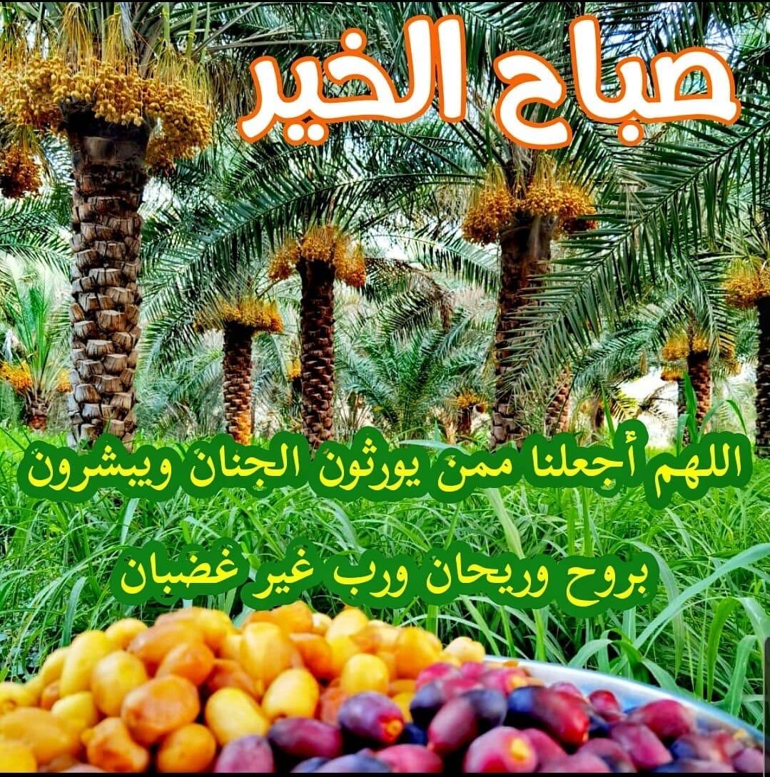 ابو خالد tweet media