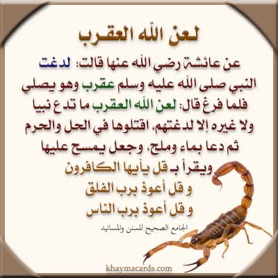 سعــد 🇰🇼 tweet media