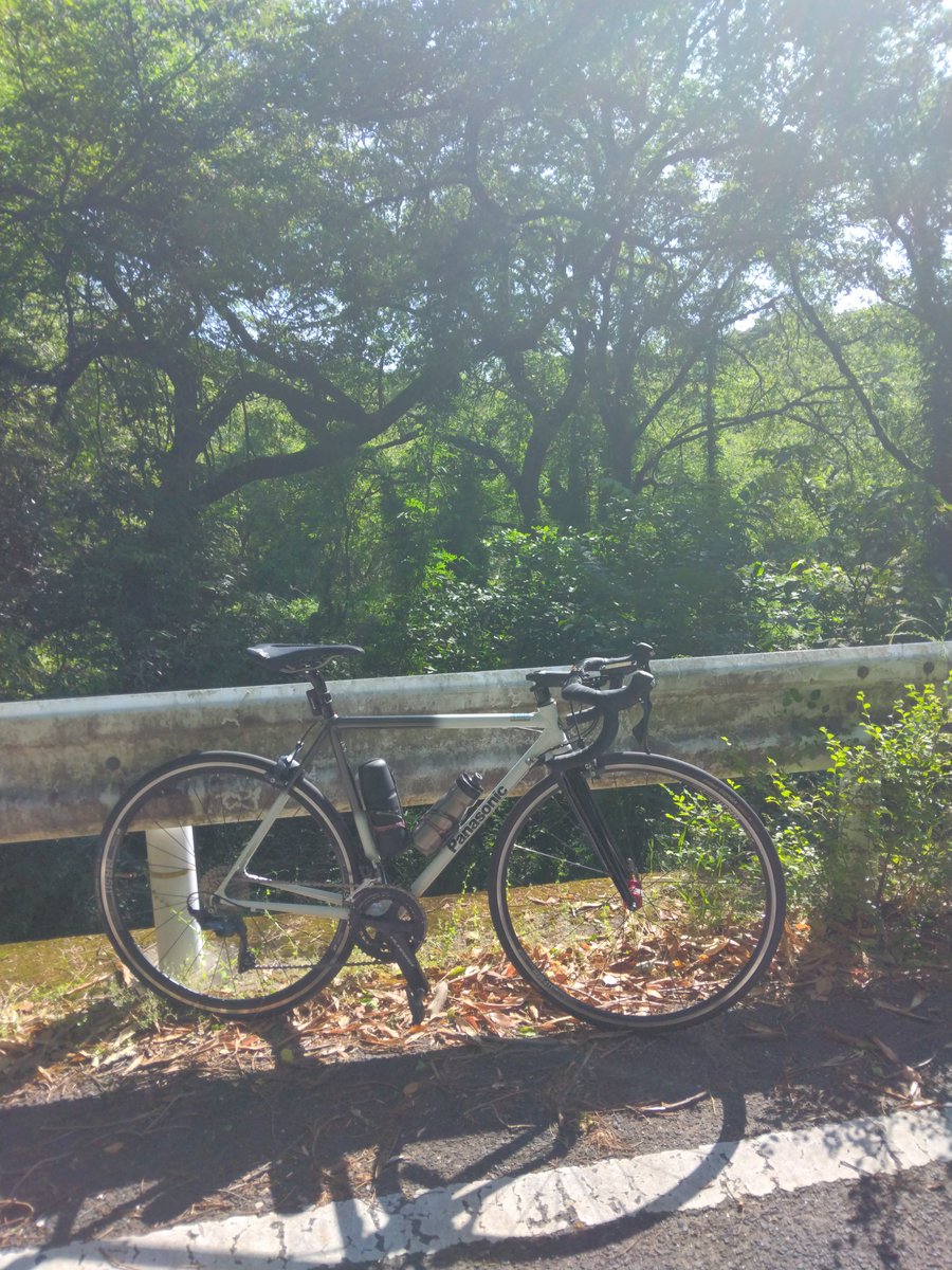 ihogio's tweet photo. 早朝ライド、向かい風だけど気持ちが良い。 https://t.co/BmPldyBkRp