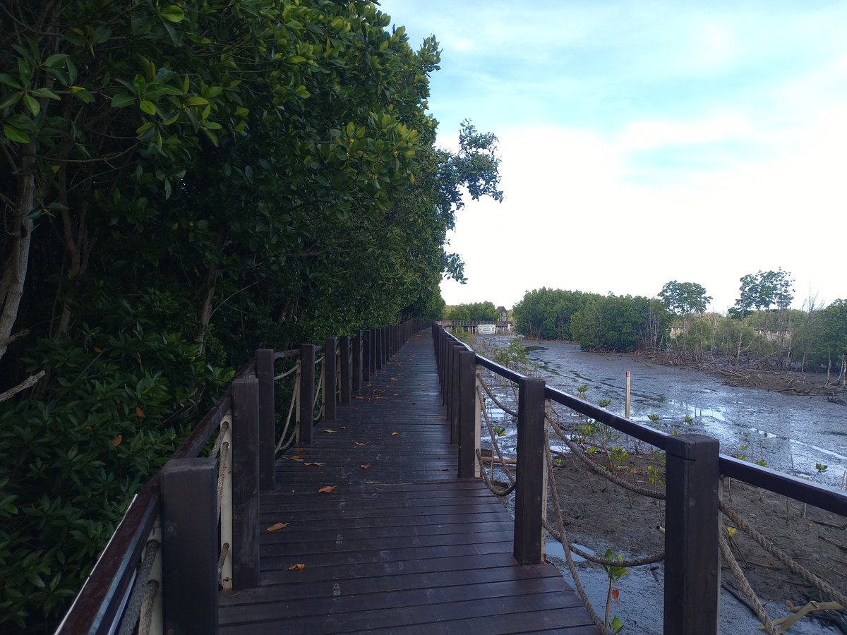T24252524T's tweet photo. เข้าป่าเดินเล่นกัน https://t.co/7sdL1IC8vU