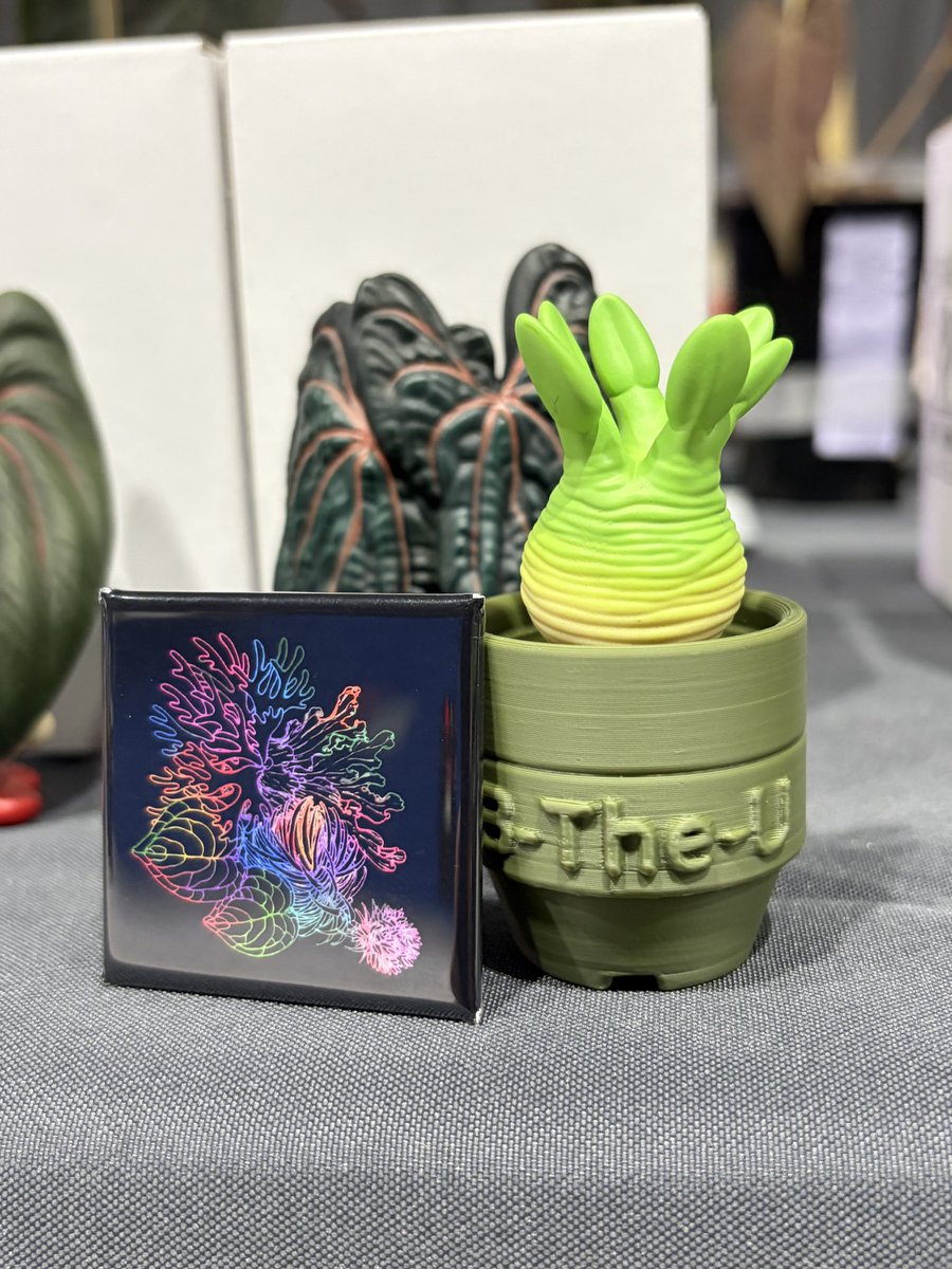 B-The-U🌱VAGマンドラグラキ発売中🌱 (@plantsBTheU) / Posts / X