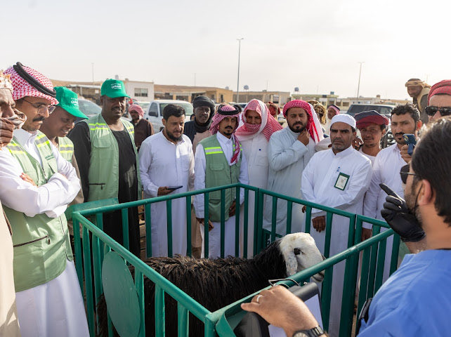 الحدود الشمالية tweet media