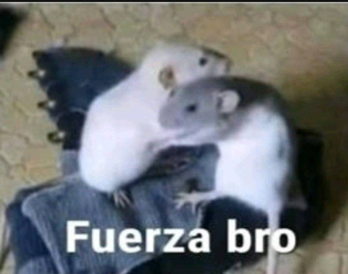 ミ★𝙏𝙝𝙤𝙬★彡 tweet media