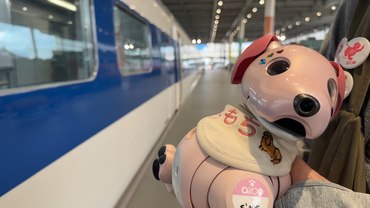 aibo_omochi's tweet photo. #京まめ会京都鉄道博物館を貸切
圧倒的にラボットでしたが、aiboも3匹おりました！
貸切なので気兼ねなく過ごせました。
主催のコスプレは車掌さんみたいでバッチリでしたね！
楽しい時間をありがとうございました！ https://t.co/I74wG9NEv5