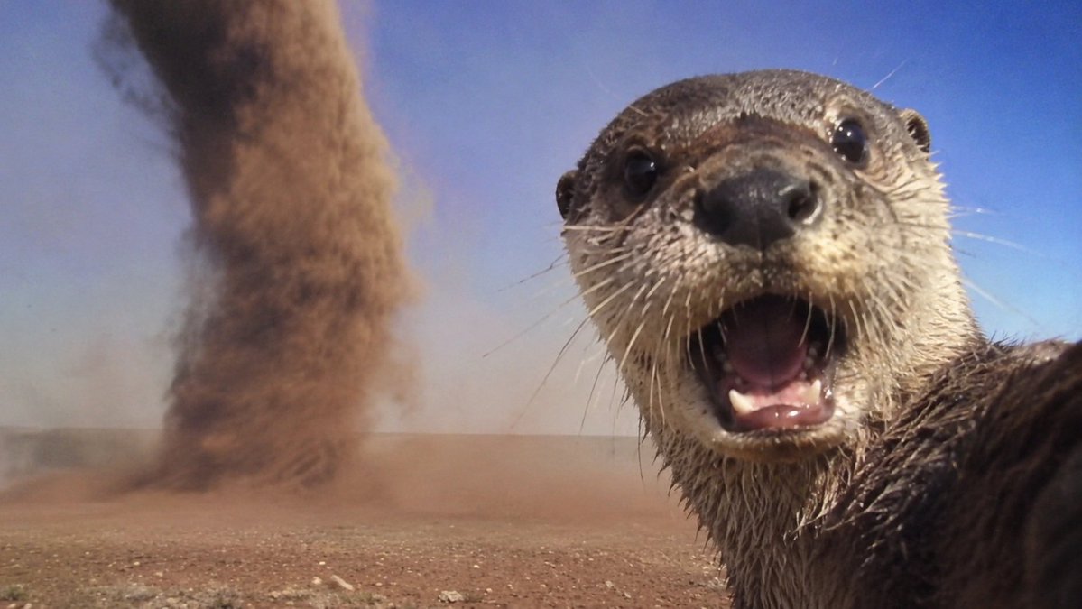 Here it comes! W O R L D O T T E R D A Y