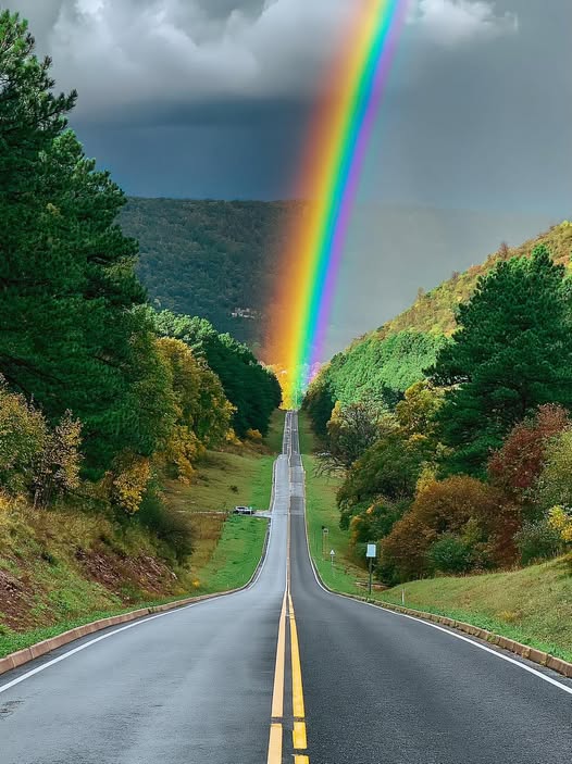 astrooalert's tweet photo. Road straight into the Rainbow 🌈🛣️ 

📍 Blue Ridge Mountains, North Carolina, USA 🇺🇸 https://t.co/fgWdljogNT