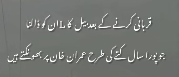 🇵🇰Ԁ⊥ı dɹoɟǝssoɹ ∀sim🏏 tweet media